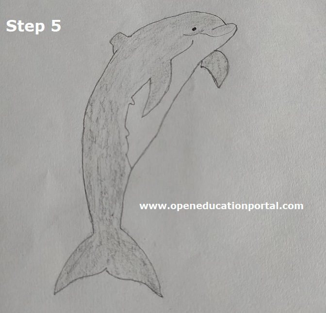 pencil drawing art dolphin  Dolphin drawing Pencil art drawings Art drawings  sketches simple