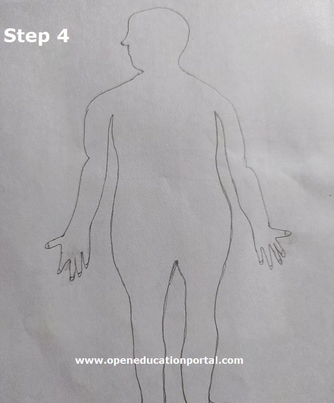 How To Draw Nervous System Stepbystep Easy Guide